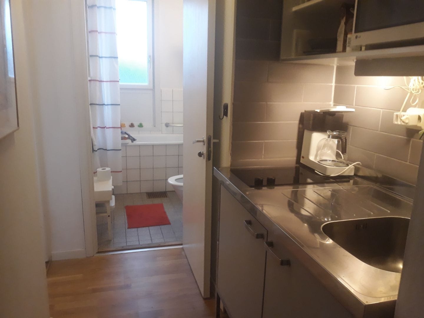1-room apartment in Lund, Dag Hammarskjölds väg - image 3