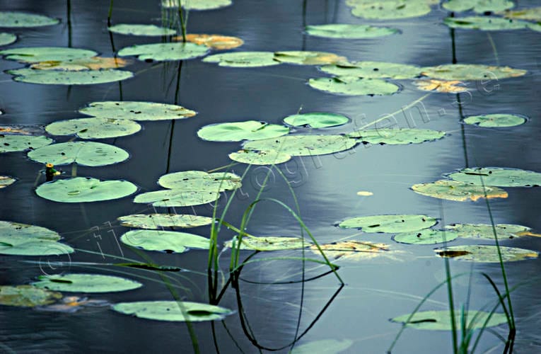 3-rumslägenhet i Lund , Vallkärratorn - bild 1