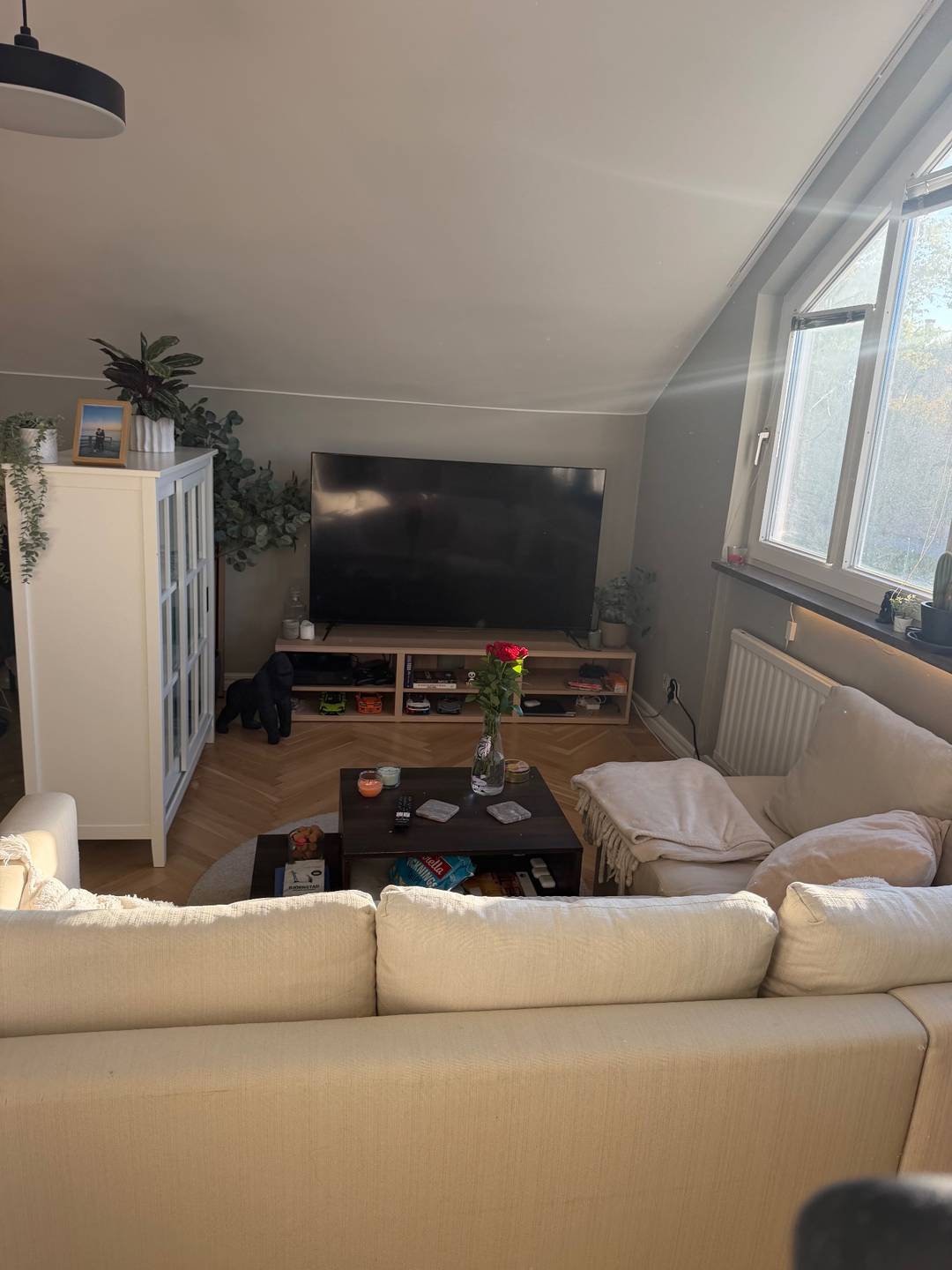 1-room apartment in Borås, Björkhemsgatan - image 3