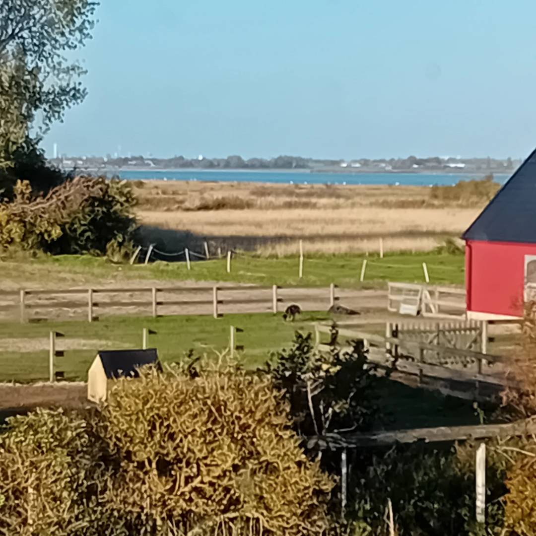 3-rumshus i Höllviken, Östra Halörsvägen - bild 2
