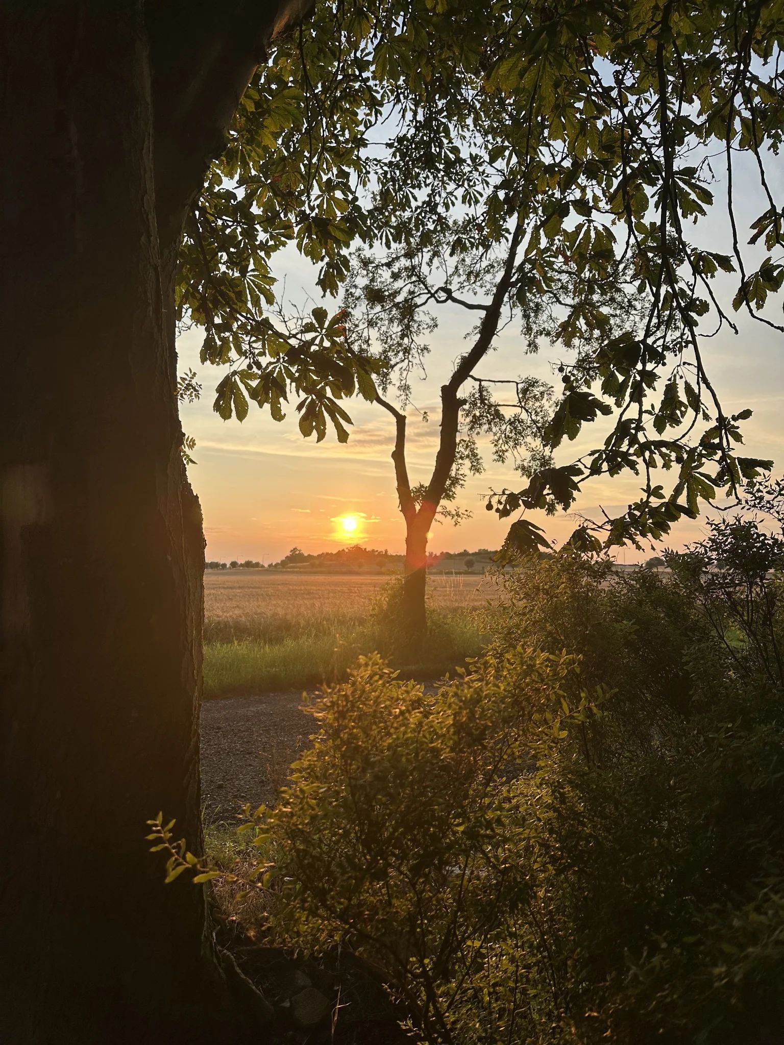 1-rumshus i Tygelsjö, Borrebackevägen - bild 2