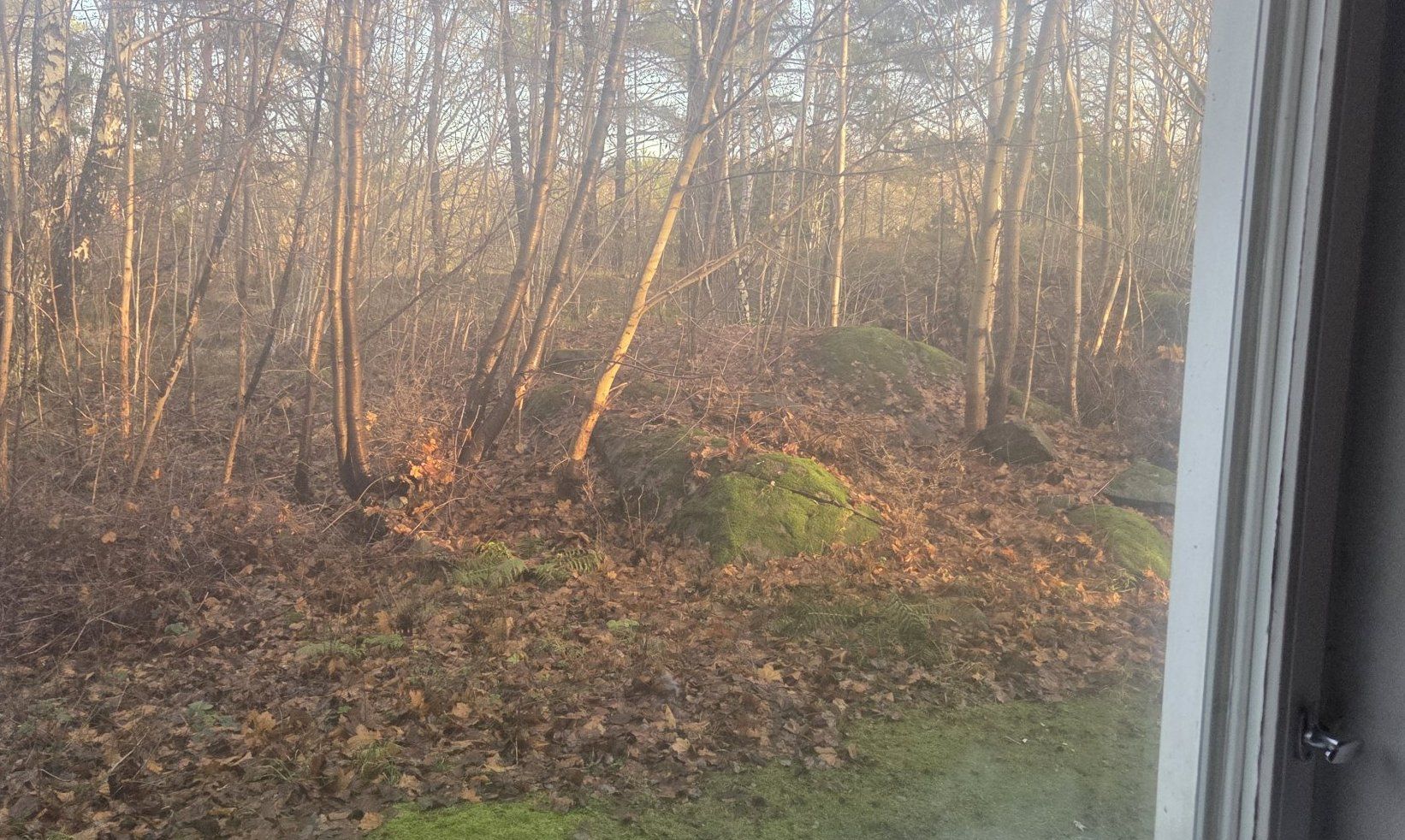 1-rumslägenhet i Göteborg, Väderilsgatan - bild 3