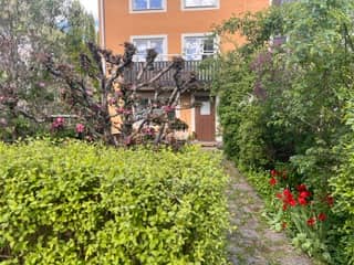 1-room apartment in Uppsala, Götgatan - image 3