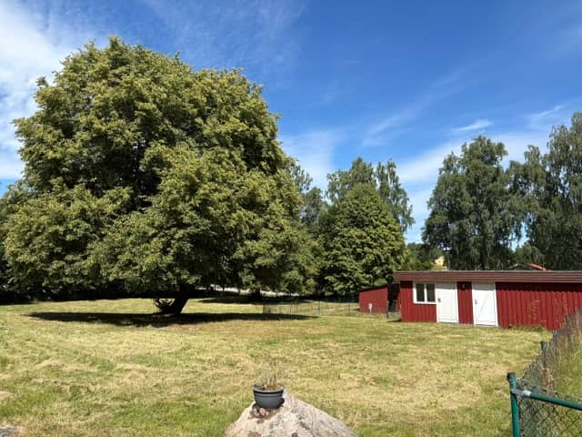 3-room apartment in Billingsfors, Högsvägen - image 3